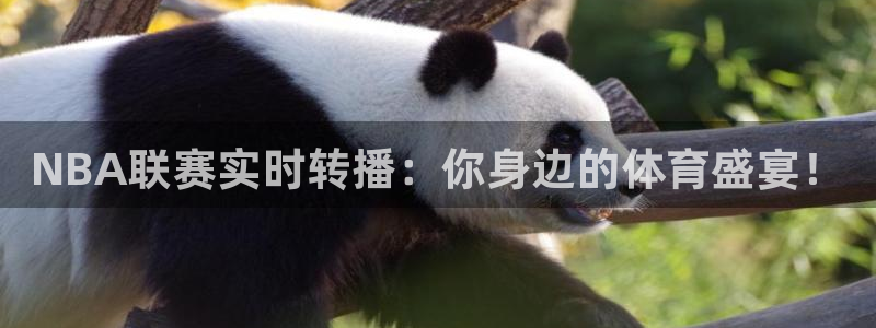 飞速直播体育：NBA联赛实时转播：你身边的体育盛宴！