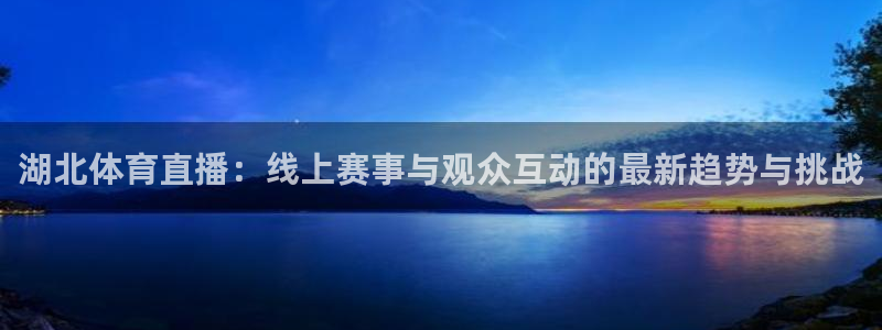 飞速直播篮球：湖北体育直播：线上赛事与观众互动的最新趋势与挑战