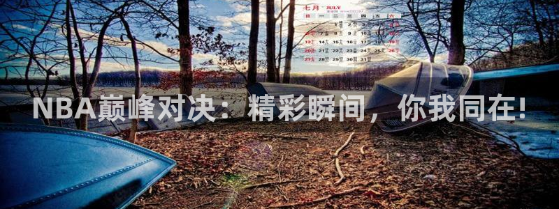 飞速直播下载：NBA巅峰对决：精彩瞬间，你我同在!