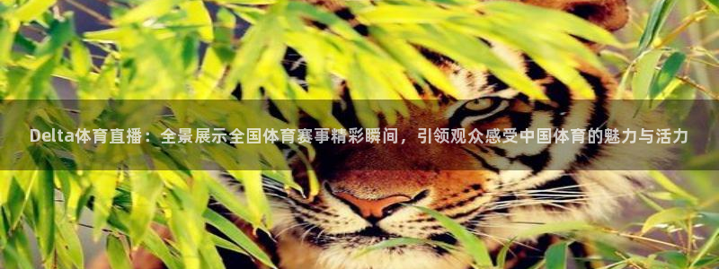飞速直播nba直播：Delta体育直播：全景展示全国体育赛事精彩瞬间，引领观众感受中国体育的魅力与活力